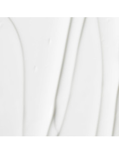 Crema Hidratante Facial OSEA 2oz - Rápida Absorción con Niacinamida 2