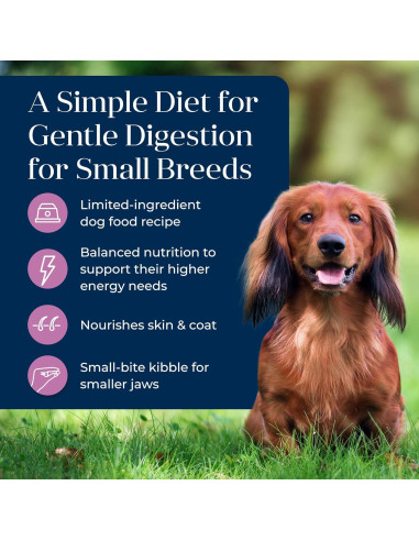 Comida Seca para Perros Blue Buffalo Basics 1.81 kg Pavo y Papa