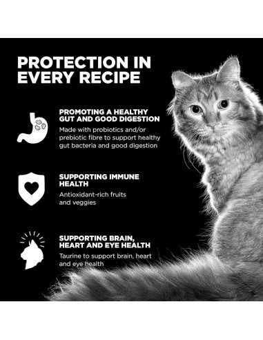 Comida Seca para Gatos Go! Solutions 3.63 kg Pollo Cuidado Piel