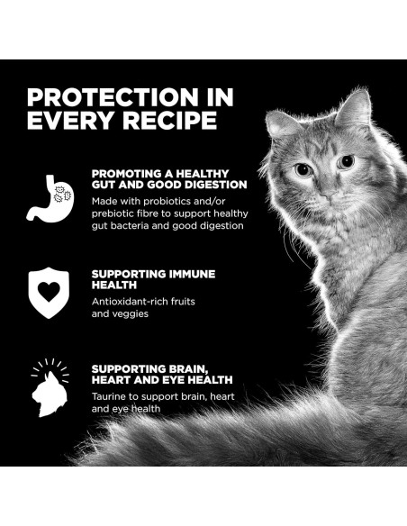 Comida Seca para Gatos Go! Solutions 3.63 kg Pollo Cuidado Piel