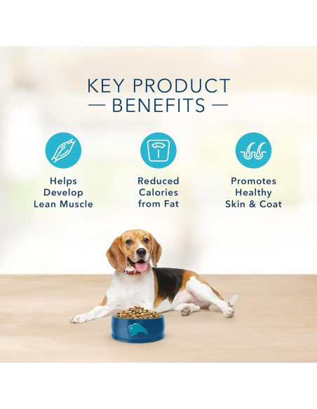 Comida Seca para Perros Blue Buffalo Basics Pavo y Papa 10.99 kg