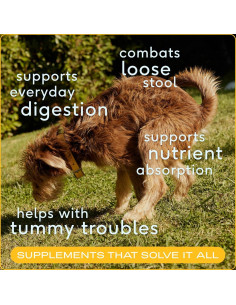 Complemento Digestivo en Polvo para Perros Native Pet - 30 Porciones de Calabaza Orgánica 2