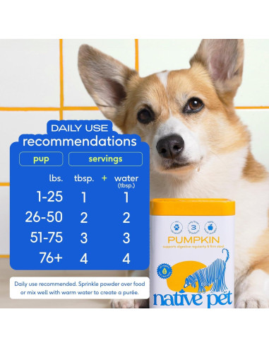 Complemento Digestivo en Polvo para Perros Native Pet - 30 Porciones de Calabaza Orgánica