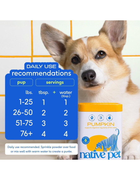 Complemento Digestivo en Polvo para Perros Native Pet - 30 Porciones de Calabaza Orgánica