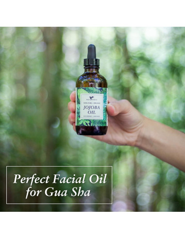 Aceite de Jojoba Puro Baja Basics 113.4g Hidratante Multiusos