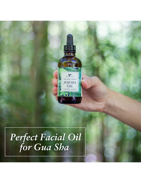 Aceite de Jojoba Puro Baja Basics 113.4g Hidratante Multiusos