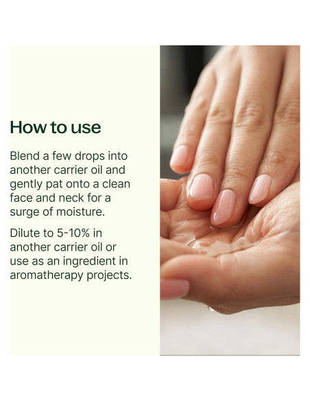 Aceite Portador de Rosa Mosqueta Orgánico Plant Therapy 118 ml