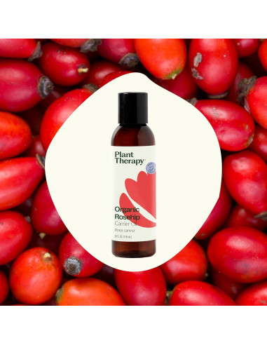 Aceite Portador de Rosa Mosqueta Orgánico Plant Therapy 118 ml