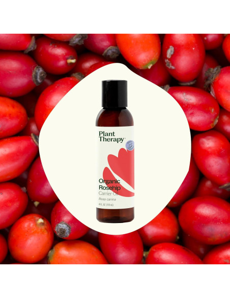 Aceite Portador de Rosa Mosqueta Orgánico Plant Therapy 118 ml