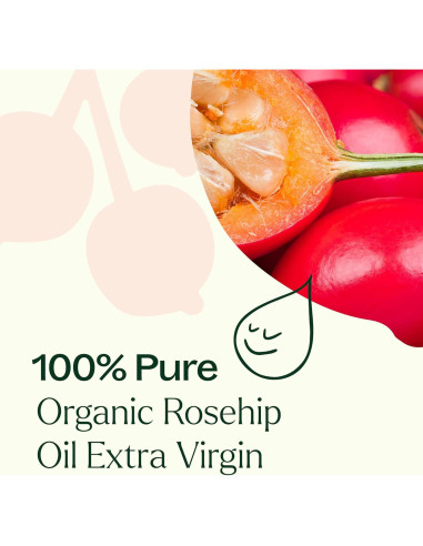 Aceite Portador de Rosa Mosqueta Orgánico Plant Therapy 118 ml