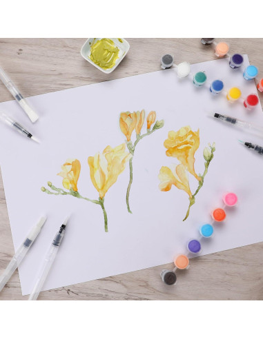 Juego de 12 Pinceles de Agua YGAOHF para Acuarela