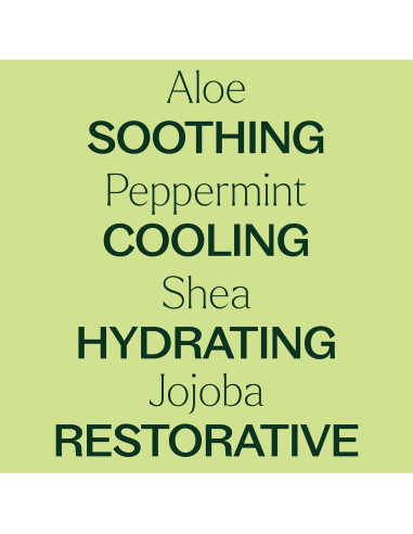 Loción Corporal de Menta Plant Therapy 226.8 g con Aloe