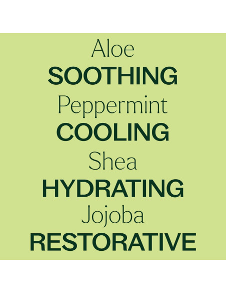 Loción Corporal de Menta Plant Therapy 226.8 g con Aloe