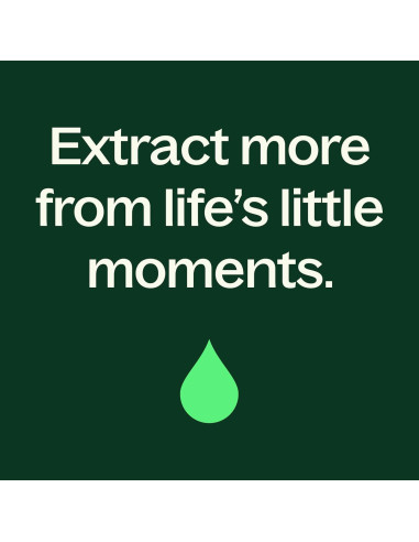 Loción Corporal de Menta Plant Therapy 226.8 g con Aloe