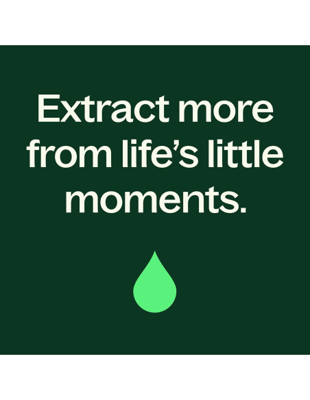 Loción Corporal de Menta Plant Therapy 226.8 g con Aloe