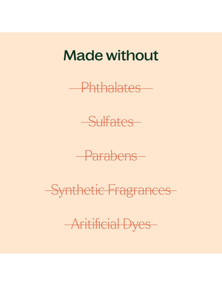 Loción Corporal de Menta Plant Therapy 226.8 g con Aloe