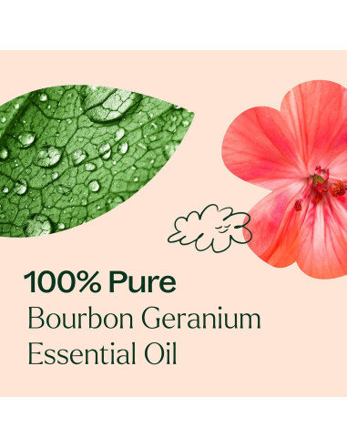 Aceite Esencial de Geranio Bourbon 100% Puro 10 mL Plant Therapy