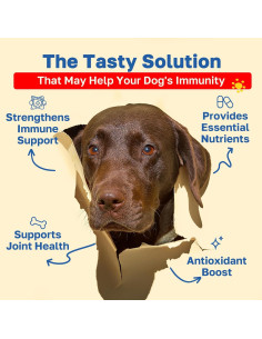 Golosinas Veganas para Perros Happy Paws 200 Unidades 2