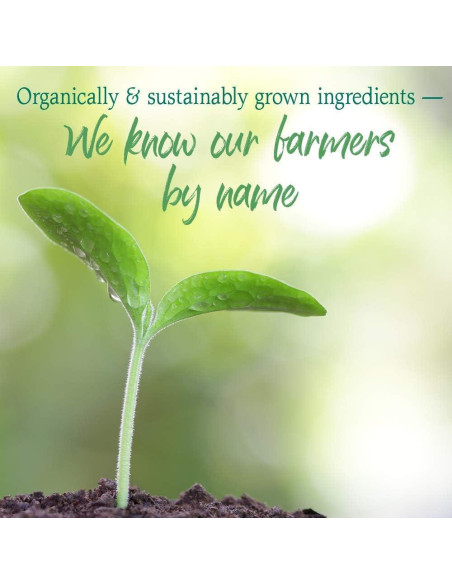 Alimento Perfecto Orgánico Crudo Jardín de Vida 30 Porciones