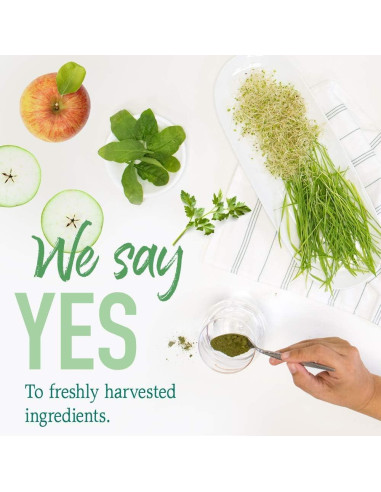 Alimento Perfecto Orgánico Crudo Jardín de Vida 30 Porciones