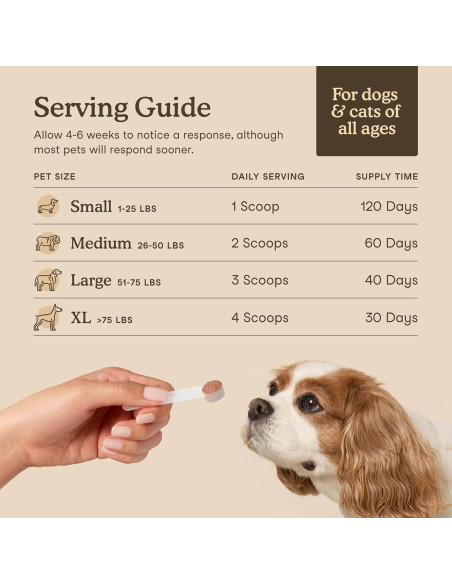 Suplemento de Champiñones Orgánicos Fera Pet 120 Cucharadas