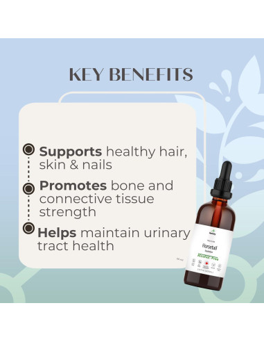 Tintura de Cola de Caballo Herbity 100 ml - Suplemento Vegano