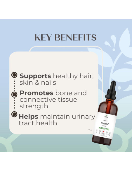 Tintura de Cola de Caballo Herbity 100 ml - Suplemento Vegano