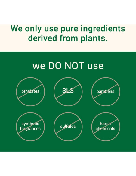 Paquete de 5 Jabones Herb'N Eden para Hombres 28.35g