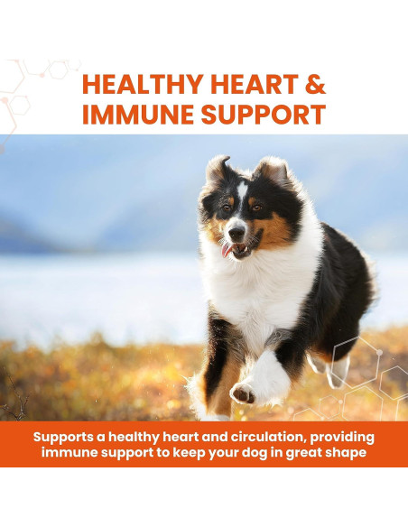 Suplemento de Ajo para Perros Vetzyme 240 Tabletas Corazón Saludable