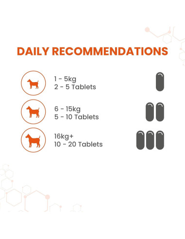 Suplemento de Ajo para Perros Vetzyme 240 Tabletas Corazón Saludable