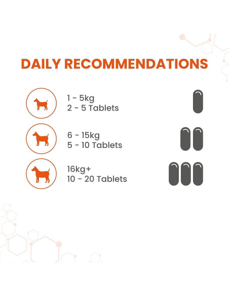 Suplemento de Ajo para Perros Vetzyme 240 Tabletas Corazón Saludable