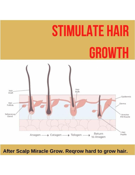 Manteca de Chebe Pride and Beauty 81g - Crecimiento Cabello