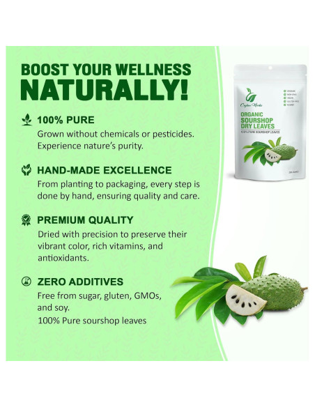 200 Hojas de Guanábana Ceylon Herbs - 100% Puras y Frescas