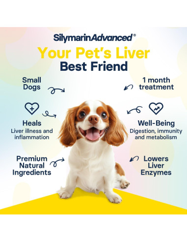 Suplemento Hepático para Perros Pequeños Vet Perfect - 30 Tabletas