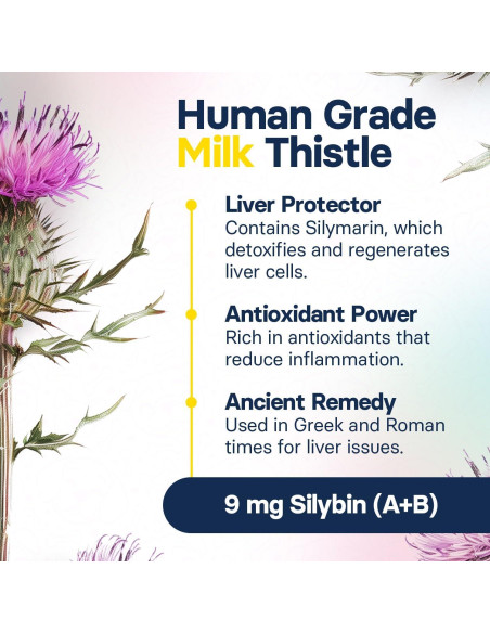 Suplemento Hepático para Perros Pequeños Vet Perfect - 30 Tabletas