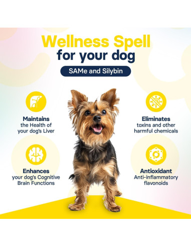 Suplemento Hepático para Perros Pequeños Vet Perfect - 30 Tabletas