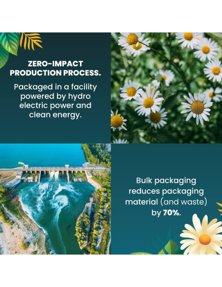 Té de Manzanilla Orgánico Cederberg - 30 Bolsitas Ecológicas