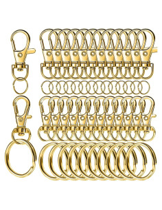 LEOBRO Kit 60 Piezas Ganchos y Anillos para Llaveros Dorado