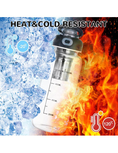 Botella de Agua de Vidrio 0.95L Wangsdjy con Colador de Té