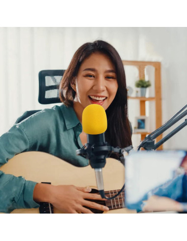 Juego de 20 Fundas de Micrófono Coloridas - Espuma Reutilizable