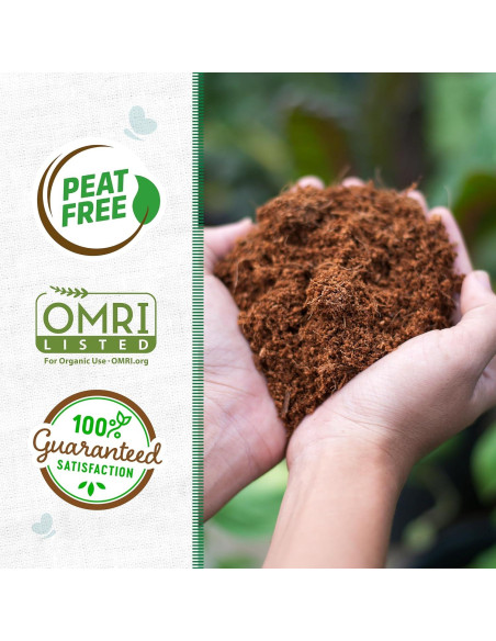 Bloque Comprimido de Coco Orgánico Back to the Roots 12L