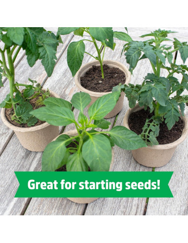 Bloque Comprimido de Coco Orgánico Back to the Roots 12L