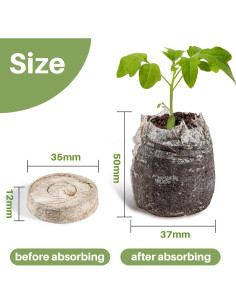 50 Pellets de Turba para Plántulas YS - 35mm para Germinación 2