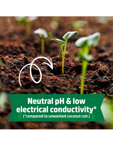 Bloque Comprimido de Coco Orgánico Back to the Roots 12L