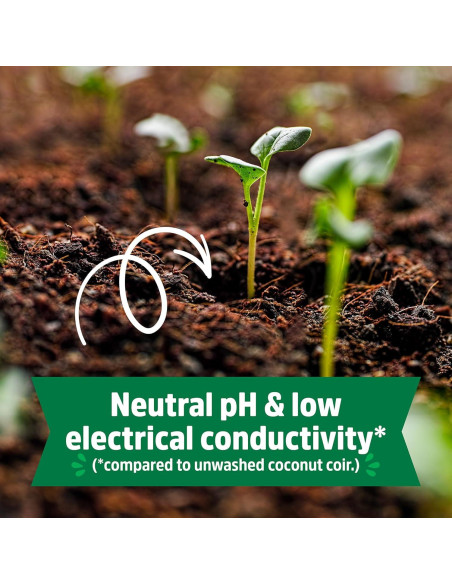 Bloque Comprimido de Coco Orgánico Back to the Roots 12L