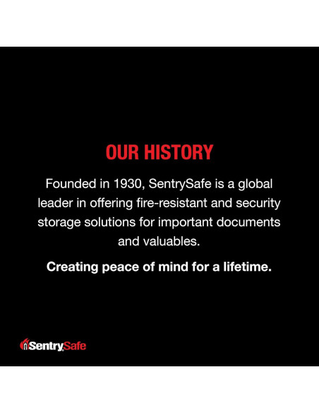 Caja de Seguridad Portátil SentrySafe P021E Negra con Cerradura Digital