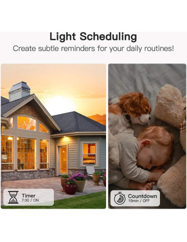 Interruptor de Luz Inteligente TREATLIFE Wi-Fi 1250W