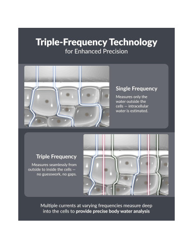 Balanza de Composición Corporal InBody H30 con Bluetooth