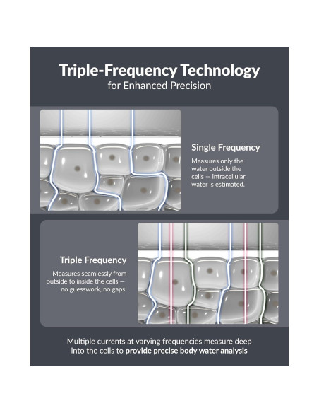 Balanza de Composición Corporal InBody H30 con Bluetooth