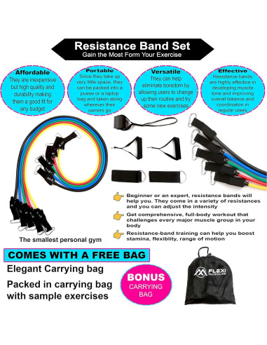 Conjunto de Bandas de Resistencia FLEXI MUSCLES 100 LBS